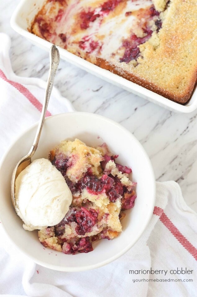 Fresh Marionberry Cobbler Recipe | Your Homebased Mom