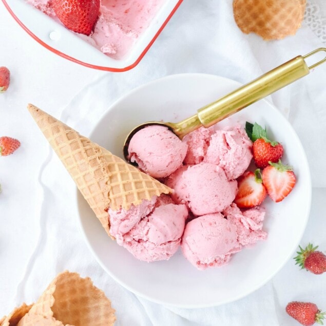 Fresh Blueberry Ice Cream  Recipe by Leigh Anne Wilkes