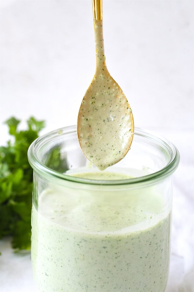 spoon with tomatillo dressing on it.